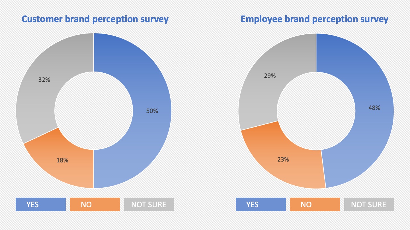 Brands2024 perceptionsurveys